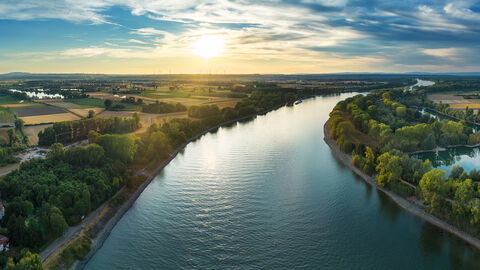 Rhein
